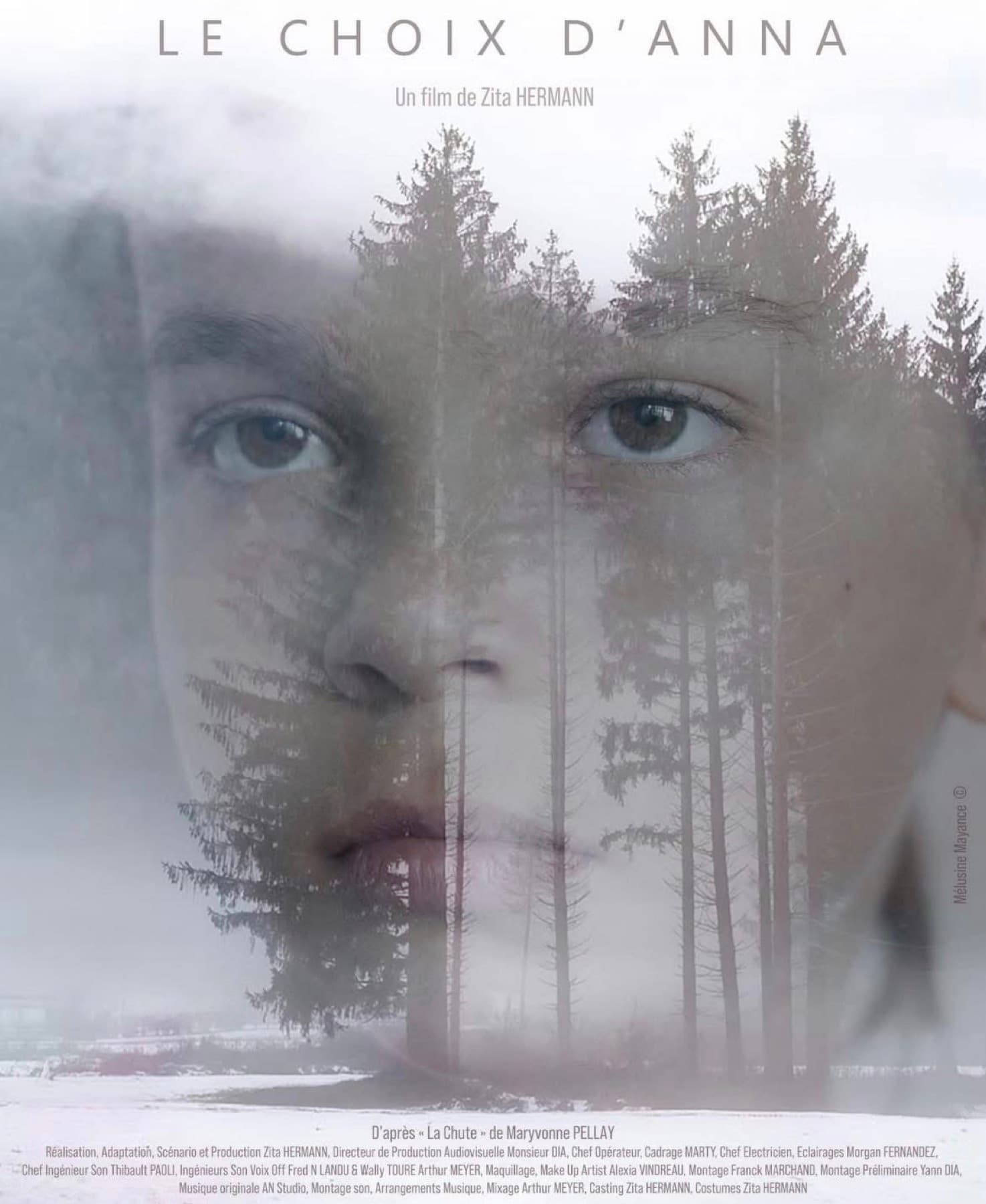 Affiche du film Le Choix d’Anna